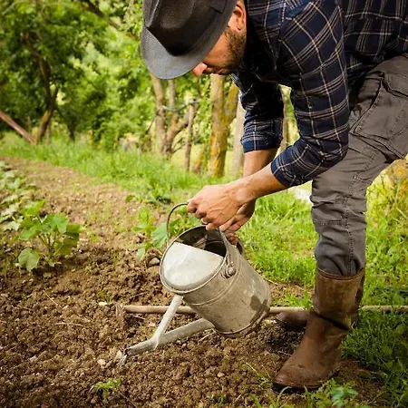 Alojamento de Turismo Rural La Contessa Quarter Horse