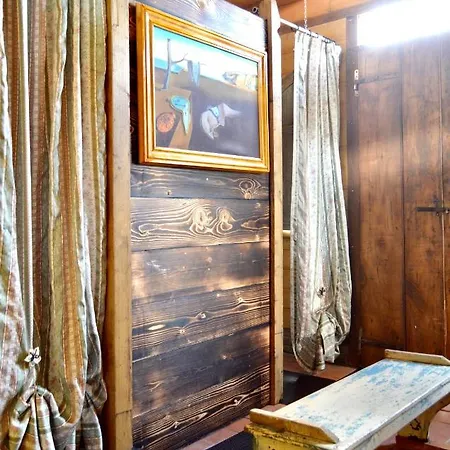 La Contessa Quarter Horse