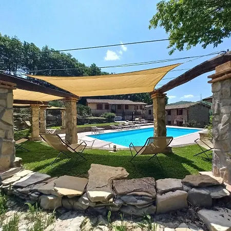 La Contessa Quarter Horse