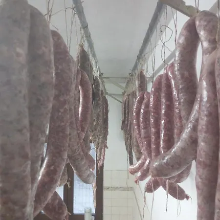 La Contessa Quarter Horse * Gubbio