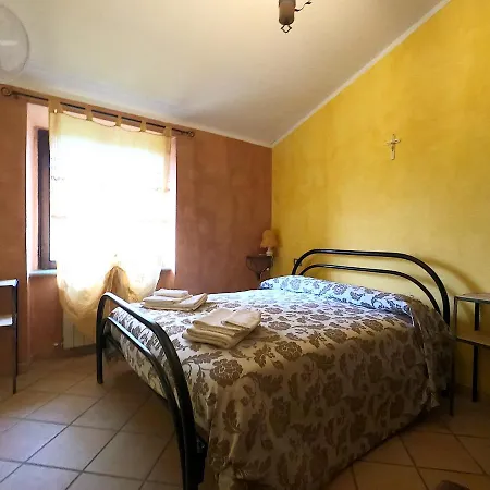 La Contessa Quarter Horse Gubbio