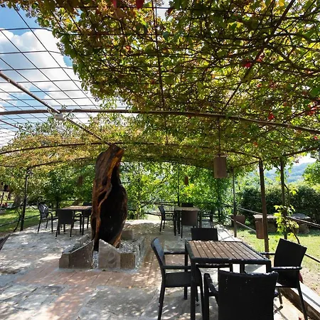 La Contessa Quarter Horse