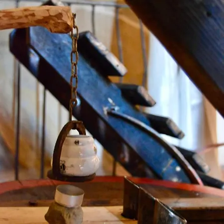 Alojamento de Turismo Rural La Contessa Quarter Horse Gubbio