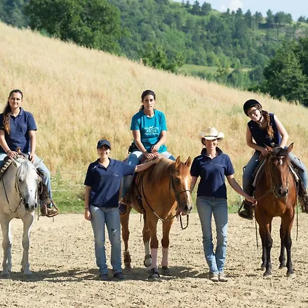 La Contessa Quarter Horse Gubbio