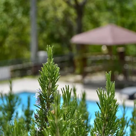 Alojamento de Turismo Rural La Contessa Quarter Horse *