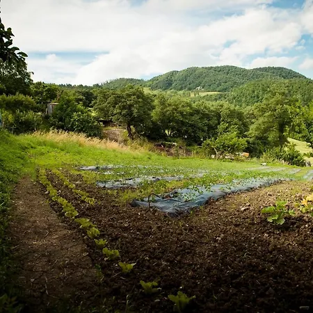 La Contessa Quarter Horse Gubbio
