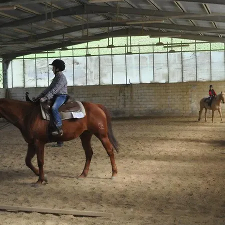 La Contessa Quarter Horse *