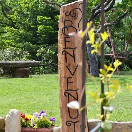 La Contessa Quarter Horse