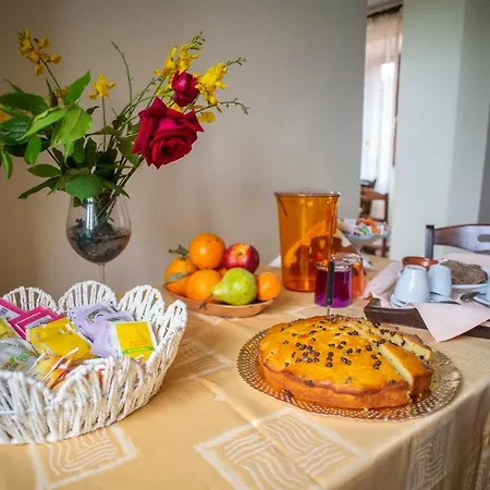 La Contessa Quarter Horse * Gubbio