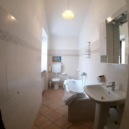 La Contessa Quarter Horse